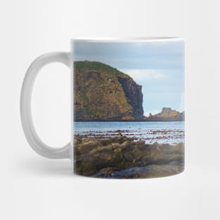 SEAL, SEA, AND ICEBERGS Mug